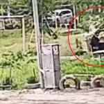 Пенсионерка получила перелом бедра после конфликта у подъезда в Волгограде