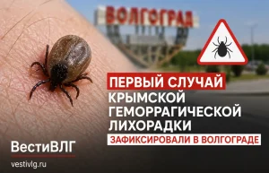Опасную инфекцию после укуса клеща диагностировали у жителя Волгограда