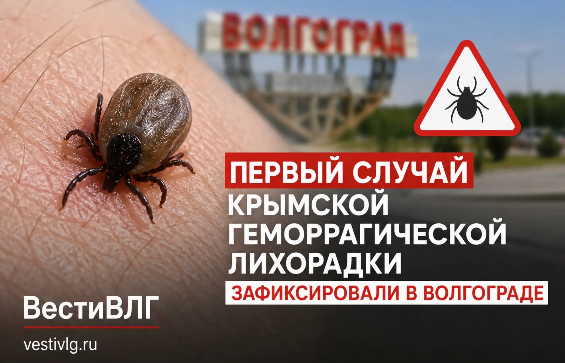 Опасную инфекцию после укуса клеща диагностировали у жителя Волгограда