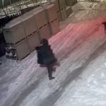 Три месяца без дела: в Волгограде добиваются наказания для стрелка, убившего собаку среди многоэтажек