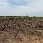 В Самофаловке свиноферма загрязнила отходами 1500 квадратных метров земли