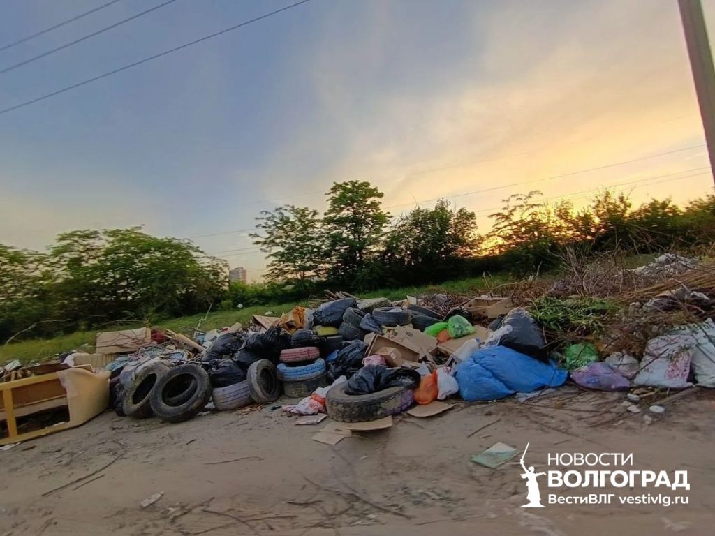 «Достопримечательность» из мусора: волгоградцы обратились в Москву из-за свалки
