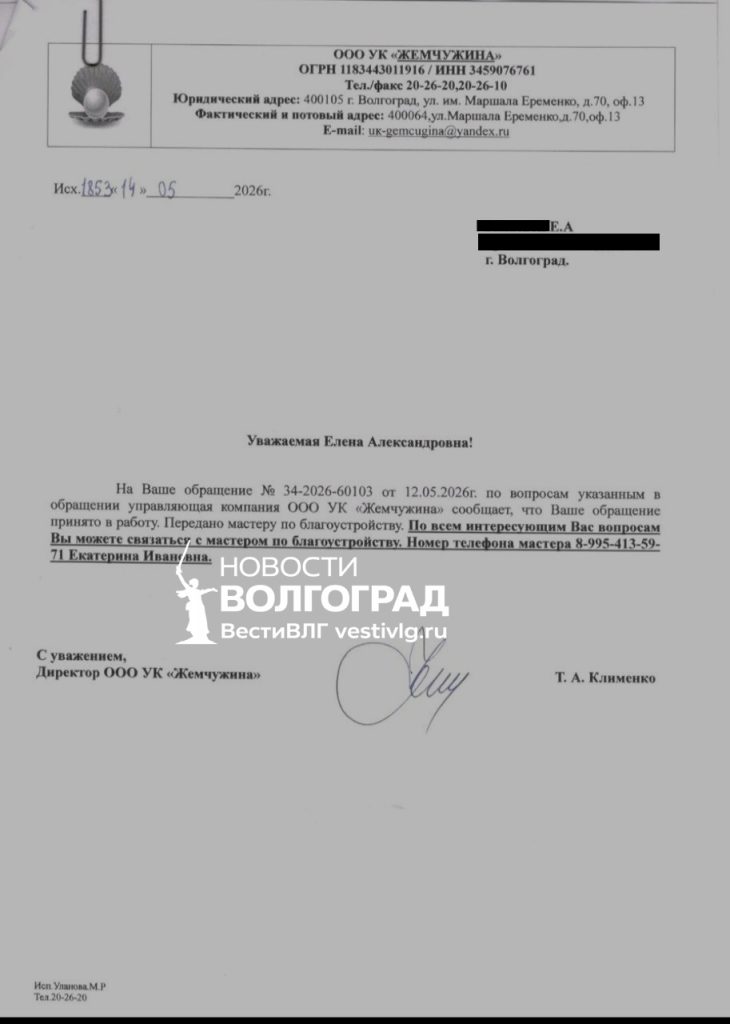 «Заявка в работе»: волгоградцы пожаловались на мусор рядом с детской поликлиникой