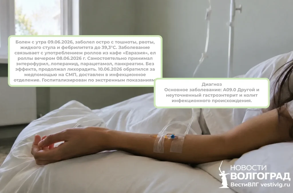 Массовое отравление в Камышине: кафе «ЕвроАзия» временно закрыли после вспышки сальмонеллёза