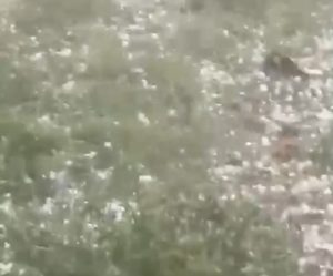град в волгоградской области