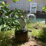 «Исчезли за одну ночь»: неизвестные похитили декоративную подсветку из клумбы во дворе Волгограда