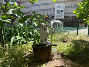 «Исчезли за одну ночь»: неизвестные похитили декоративную подсветку из клумбы во дворе Волгограда