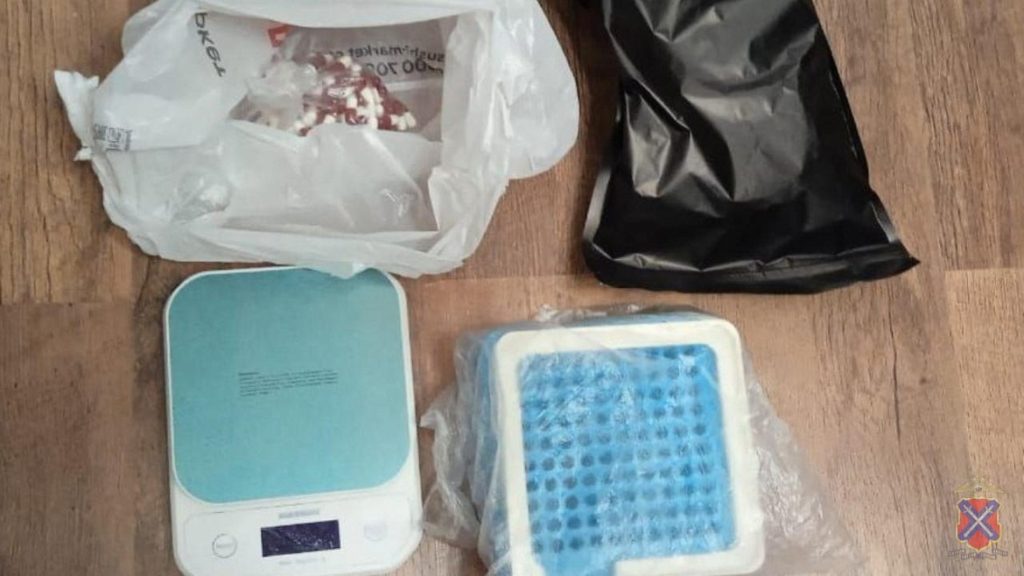 Полицейские Волгоградской области установили участницу сообщества наркодилеров