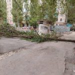 Упавшее дерево перекрыло дорогу в Красноармейском районе Волгограда