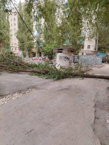 Упавшее дерево перекрыло дорогу в Красноармейском районе Волгограда