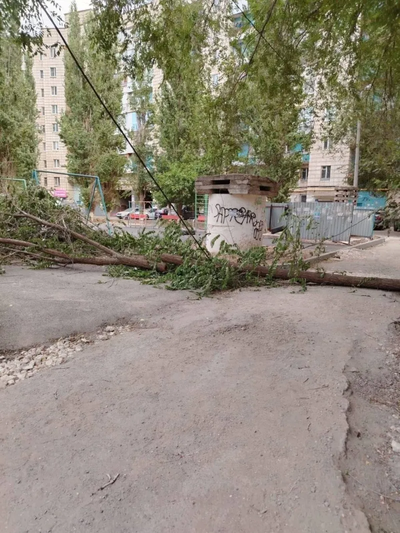 Упавшее дерево перекрыло дорогу в Красноармейском районе Волгограда
