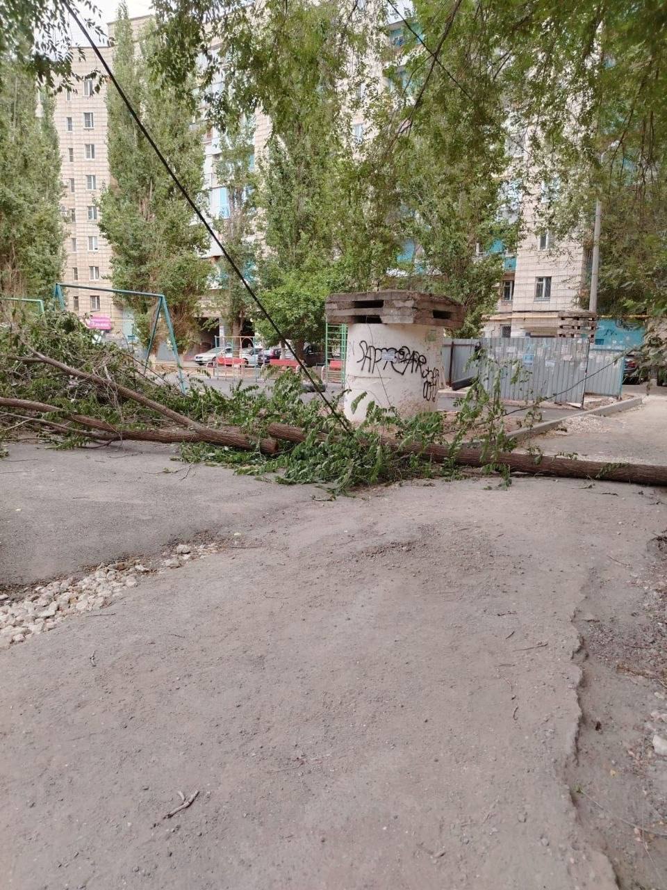 Упавшее дерево перекрыло дорогу в Красноармейском районе Волгограда