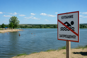 В Городище выпускник 9 класса погиб после неудачного прыжка в воду