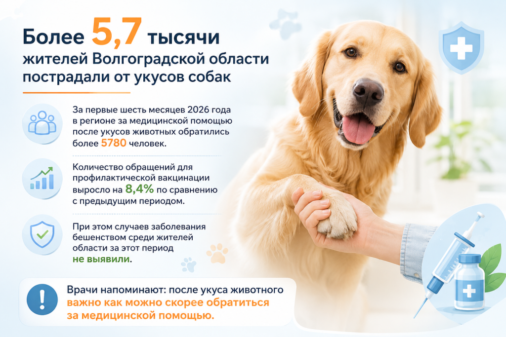 В Волгоградской области выросло число обращений после укусов животных