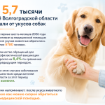В Волгоградской области выросло число обращений после укусов животных
