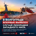 Первый случай смертельно опасной лихорадки Западного Нила выявили в Волгограде