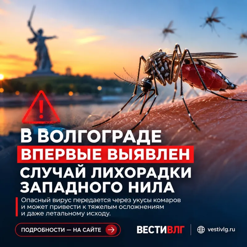Первый случай смертельно опасной лихорадки Западного Нила выявили в Волгограде