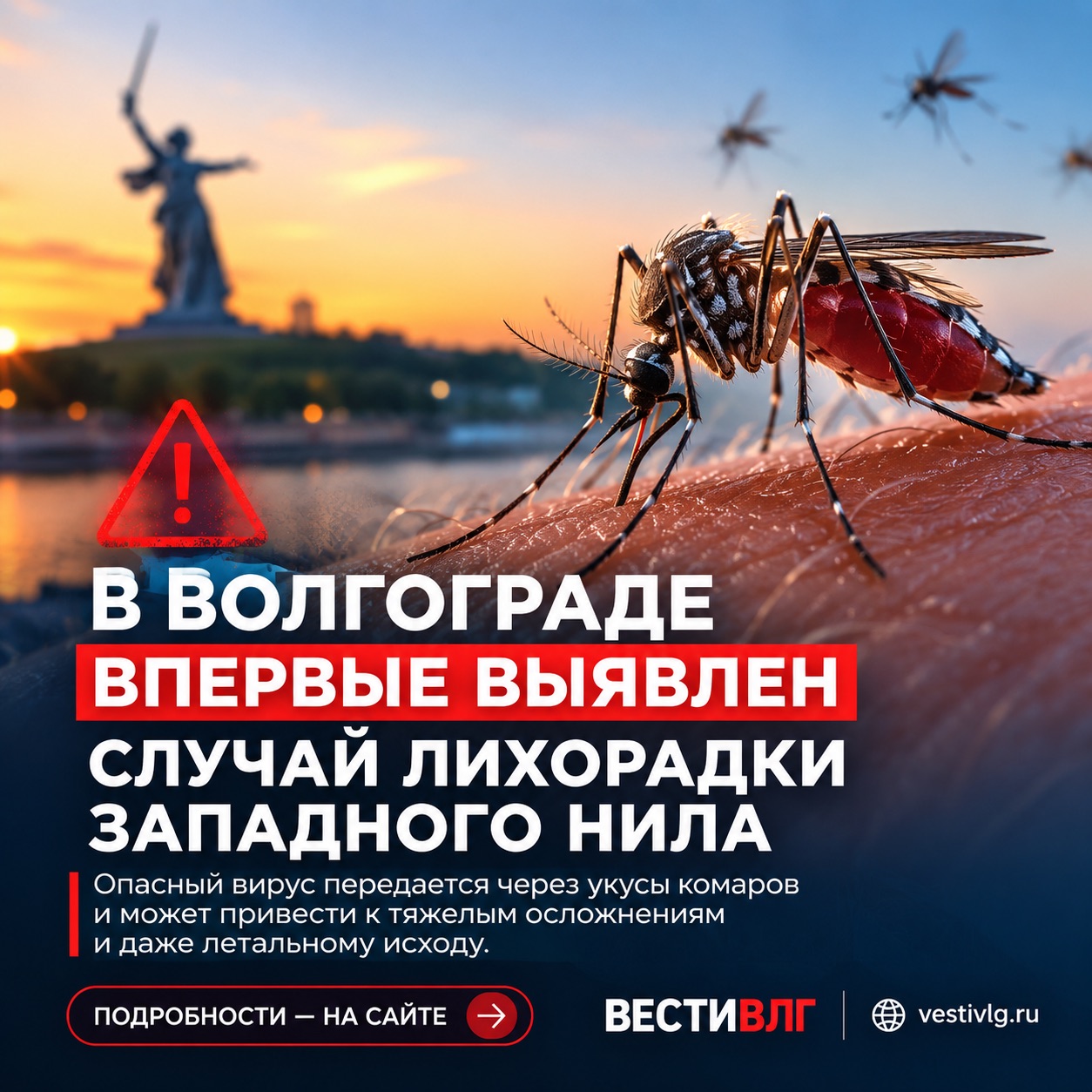 Первый случай смертельно опасной лихорадки Западного Нила выявили в Волгограде