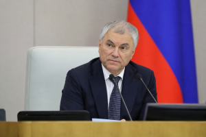 Володин заявил, что Госдума принимает законы по запросу граждан