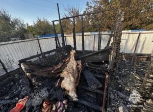 Кондиционер мог спровоцировать пожар в Волжском