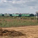 Силовики с беспилотниками проверили огуречные плантации под Волгоградом