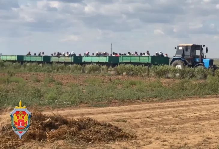 Силовики с беспилотниками проверили огуречные плантации под Волгоградом