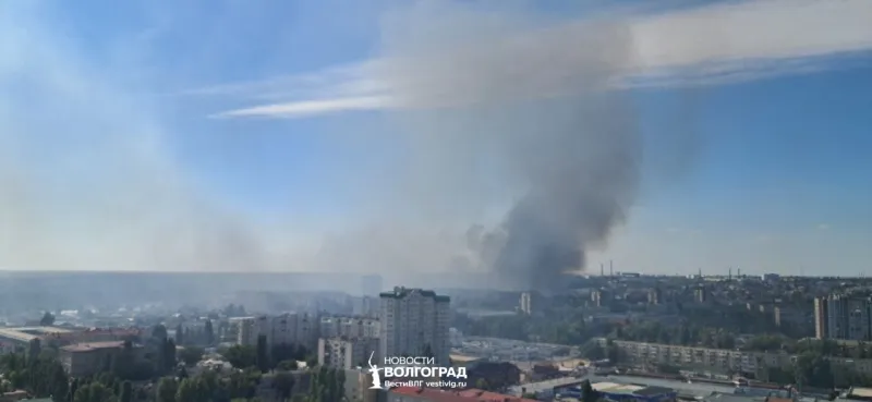 В овраге на Нарвской загорелись мусор и сухая растительность