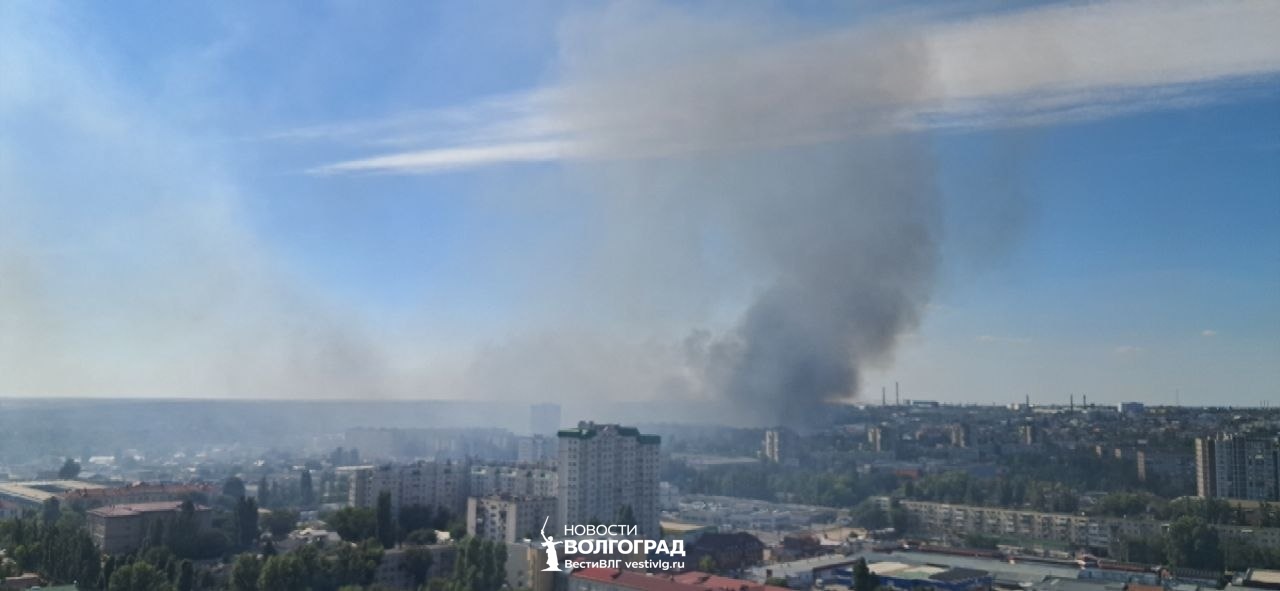 В овраге на Нарвской загорелись мусор и сухая растительность