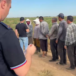 В Быковском районе проверили иностранных граждан, занятых на сезонных работах