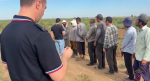 В Быковском районе проверили иностранных граждан, занятых на сезонных работах