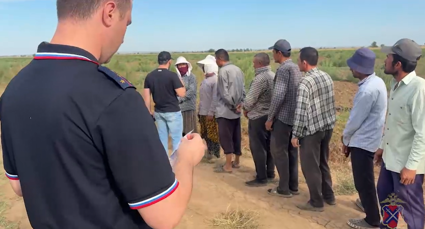 В Быковском районе проверили иностранных граждан, занятых на сезонных работах