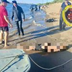 В Среднеахтубинском районе водолазы нашли в Волге тело 18-летнего юноши