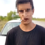 В Волгоградской области пасечника заставили извиниться перед жителями хутора