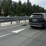 В Волгограде автомобиль Exeed сбил дорожный знак — тот отлетел в рабочего