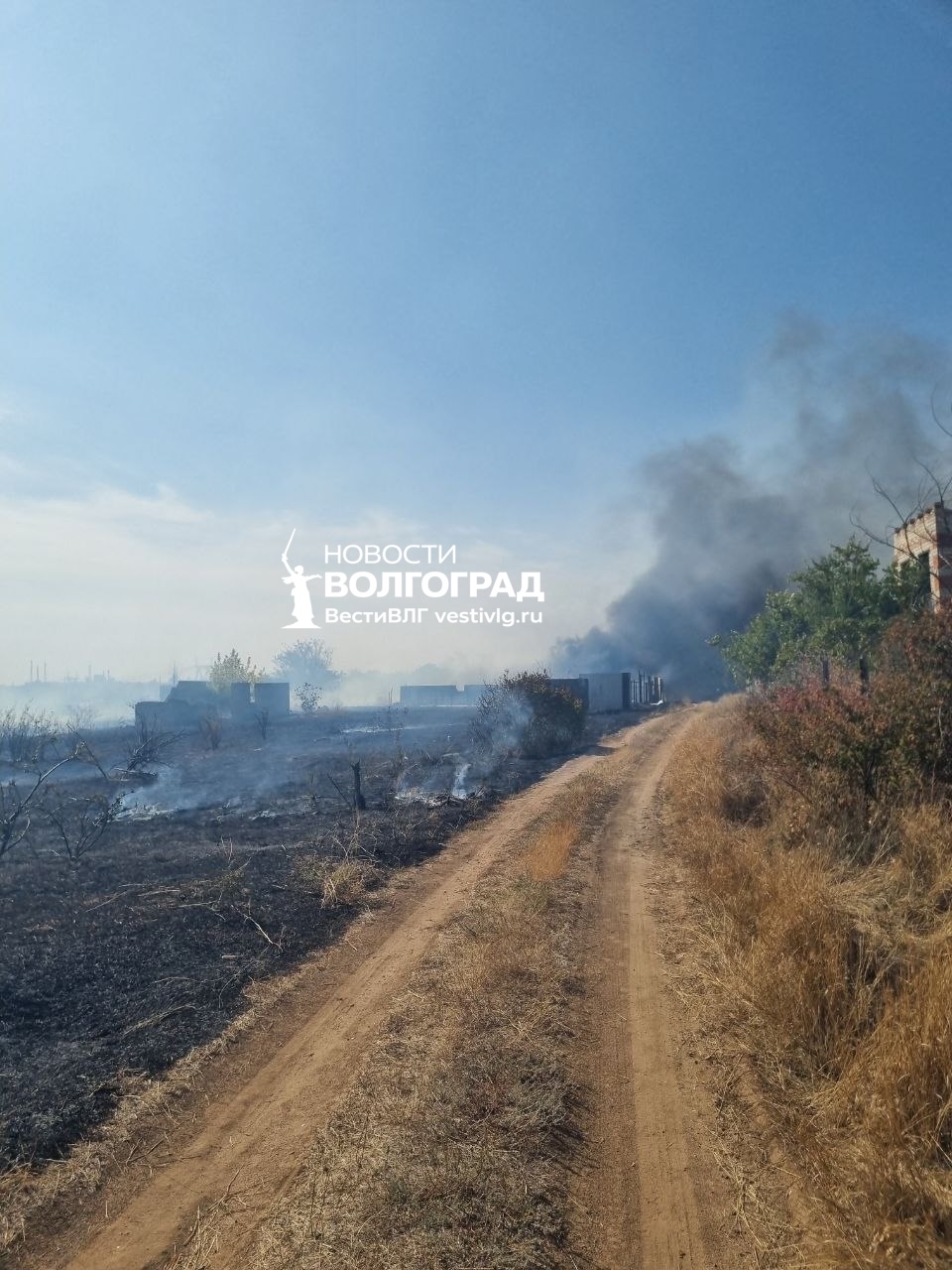 Пожар у военного городка в Волгограде: огонь из оврага перекинулся на дачи
