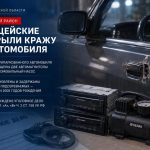 В Быково задержали двух подозреваемых в краже из автомобиля