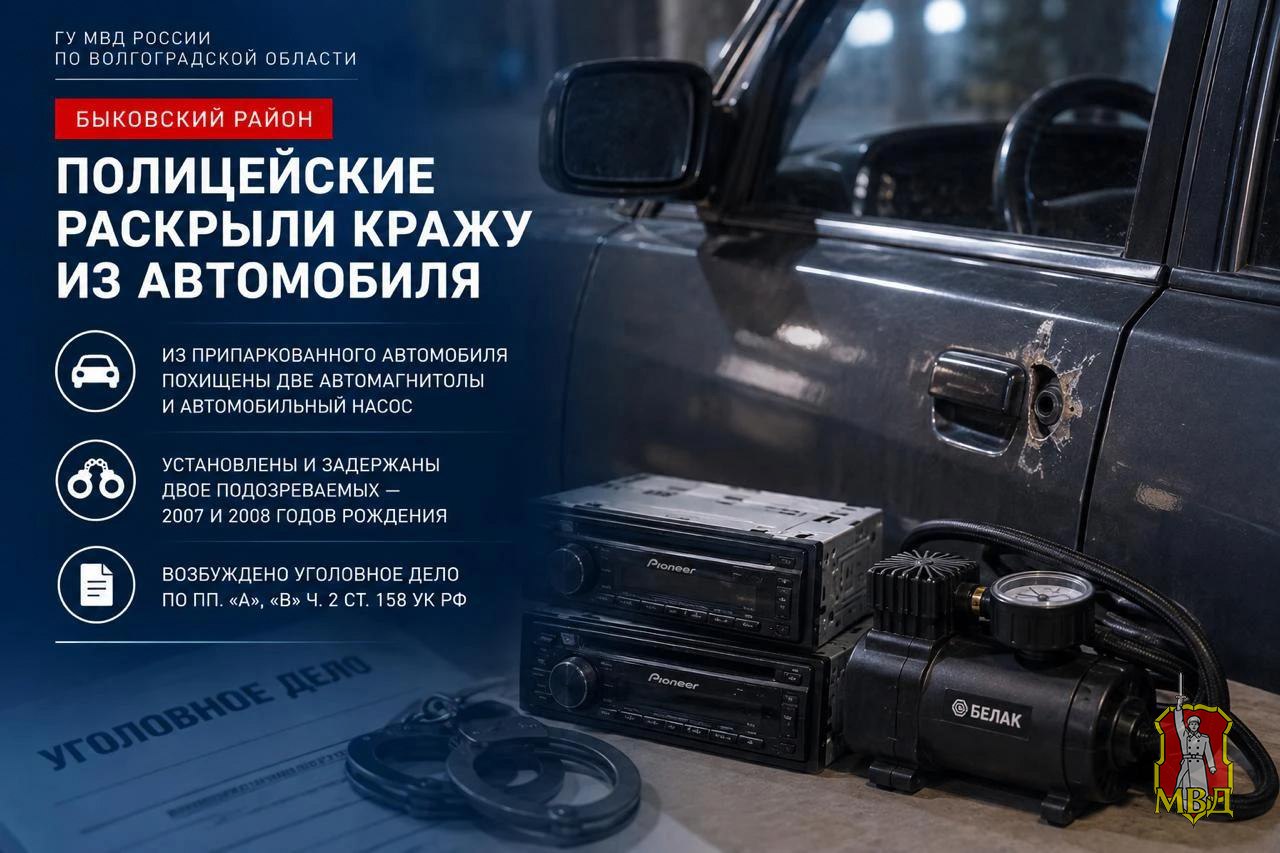 В Быково задержали двух подозреваемых в краже из автомобиля