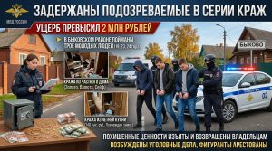 В Быковском районе задержали троих подозреваемых в серии краж