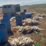 В Котельниковском районе у неоднократно судимого мужчины изъяли улов на 2 млн рублей