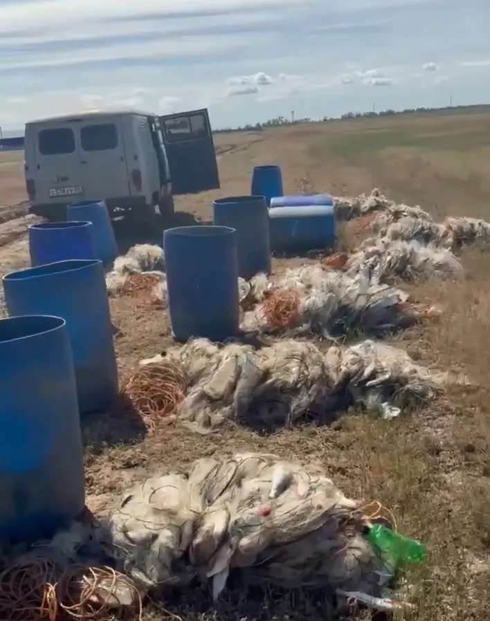 В Котельниковском районе у неоднократно судимого мужчины изъяли улов на 2 млн рублей
