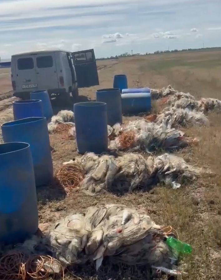 В Котельниковском районе у неоднократно судимого мужчины изъяли улов на 2 млн рублей