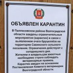 В Палласовском районе ввели карантин из-за бруцеллёза, но местная администрация узнала об этом не сразу