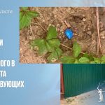 В Советском районе Волгограда задержали подозреваемого в сбыте мефедрона