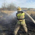 В Тракторозаводском районе Волгограда загорелось поле с сухой травой