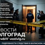 В Волжском тело девушки обнаружили в холодильнике: возбуждено дело об убийстве