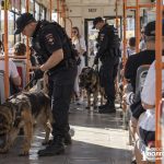 В Волгограде проверяют сообщения о минировании: эвакуировали людей на вокзале