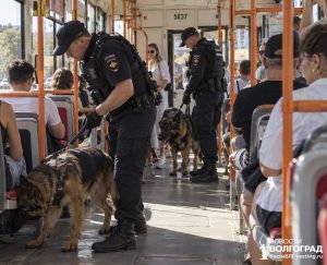 В Волгограде проверяют сообщения о минировании: эвакуировали людей на вокзале