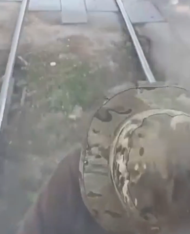 Зацепера заметили на транспорте в Ворошиловском районе Волгограда