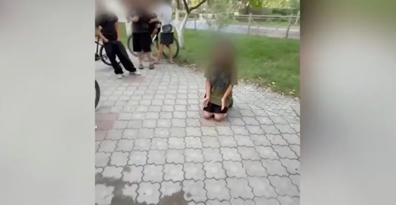 Прокуратура проверяет видео с избиением школьницы в Михайловке
