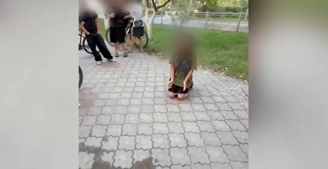 Прокуратура проверяет видео с избиением школьницы в Михайловке